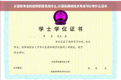 计算机专业的初级职称是指什么,计算机网络技术专业可以考什么证书