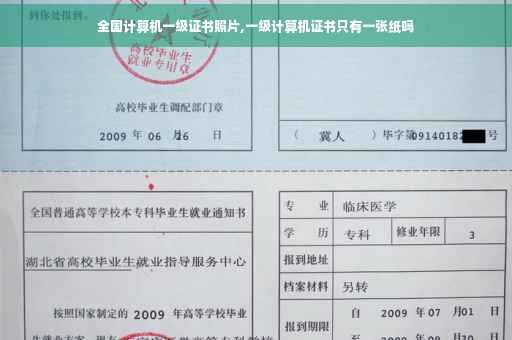 全国计算机一级证书照片,一级计算机证书只有一张纸吗