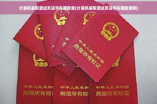 计算机装配调试员证书在哪能查(计算机装配调试员证书在哪能查到)