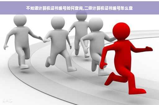 不知道计算机证书编号如何查询,二级计算机证书编号怎么查