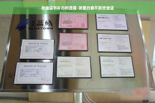 毕业证书补办的流程-浙里办查不到毕业证