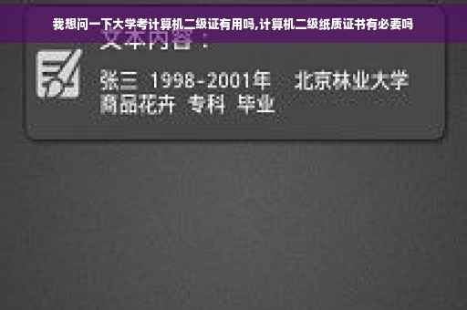 我想问一下大学考计算机二级证有用吗,计算机二级纸质证书有必要吗