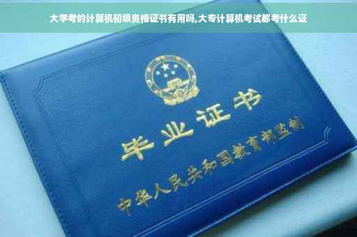大学考的计算机初级资格证书有用吗,大专计算机考试都考什么证