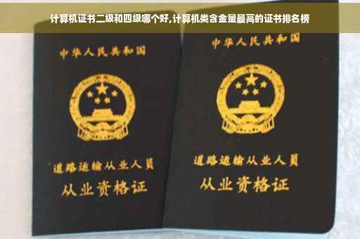 计算机证书二级和四级哪个好,计算机类含金量最高的证书排名榜