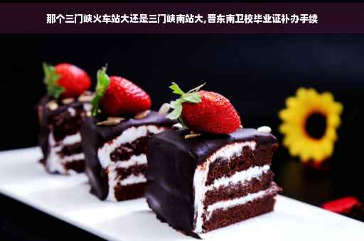 那个三门峡火车站大还是三门峡南站大,晋东南卫校毕业证补办手续