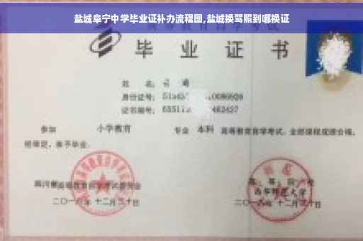 盐城阜宁中学毕业证补办流程图,盐城换驾照到哪换证