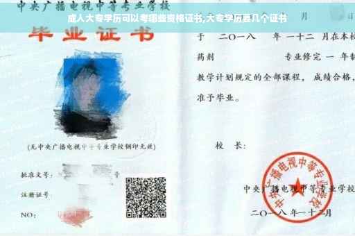 成人大专学历可以考哪些资格证书,大专学历要几个证书