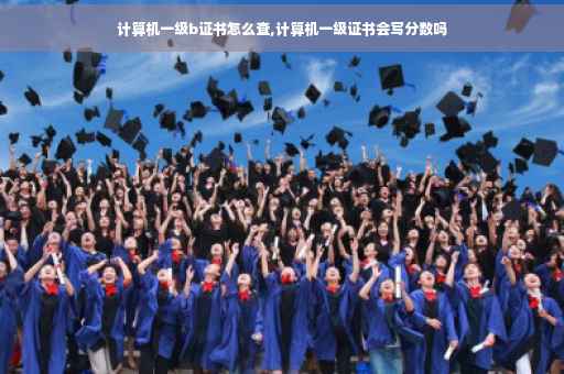 计算机一级b证书怎么查,计算机一级证书会写分数吗 计算机一级b证书怎么查,计算机一级证书会写分数吗