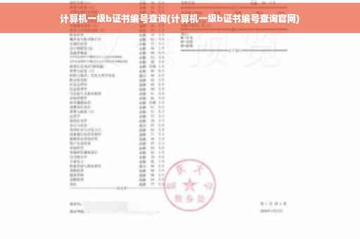 计算机一级b证书编号查询(计算机一级b证书编号查询官网)