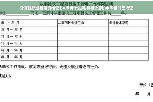 计算机职业技能资格证书4级有什么用,具有计算机中级证书三级证