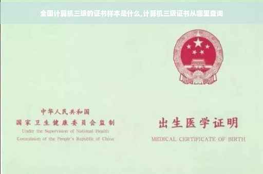 全国计算机三级的证书样本是什么,计算机三级证书从哪里查询