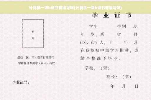 计算机一级b证书有编号吗(计算机一级b证书有编号吗)