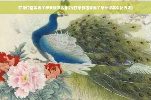 在单位宿舍丢了毕业证怎么补办(在单位宿舍丢了毕业证怎么补办呢)