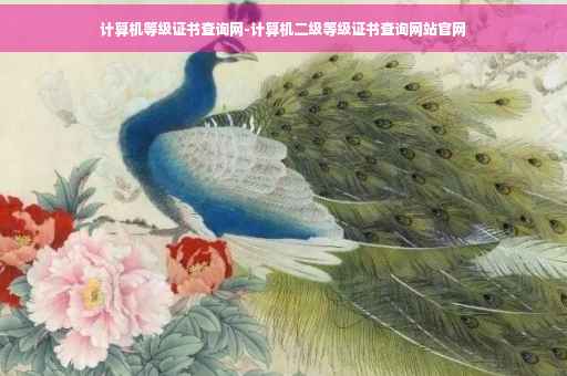 计算机等级证书查询网-计算机二级等级证书查询网站官网