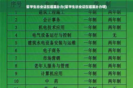 留学生毕业证在哪里补办(留学生毕业证在哪里补办呢) 留学生毕业证在哪里补办(留学生毕业证在哪里补办呢)