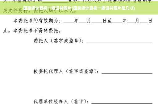 国家级计算机一级证书照片(国家级计算机一级证书照片是几寸)