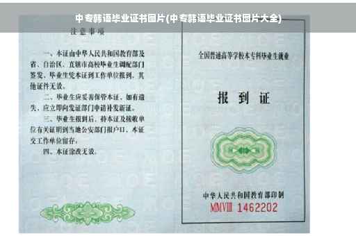 中专韩语毕业证书图片(中专韩语毕业证书图片大全)