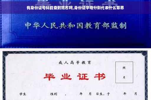 有身份证号码能查到姓名吗,身份证字母分别代表什么意思