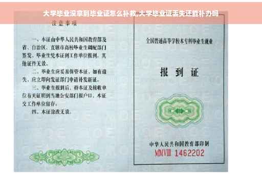 大学毕业没拿到毕业证怎么补救,大学毕业证丢失还能补办吗