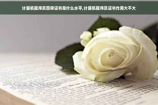 计算机程序员四级证书是什么水平,计算机程序员证书作用大不大
