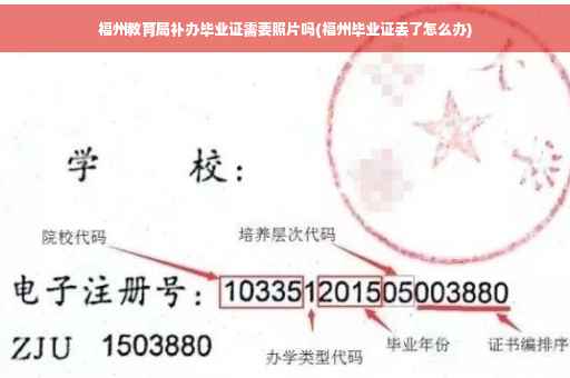 福州教育局补办毕业证需要照片吗(福州毕业证丢了怎么办)