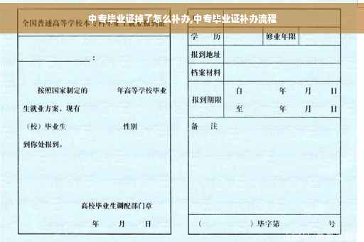 中专毕业证掉了怎么补办,中专毕业证补办流程