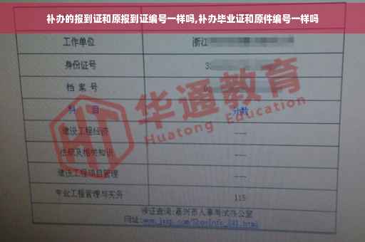 补办的报到证和原报到证编号一样吗,补办毕业证和原件编号一样吗