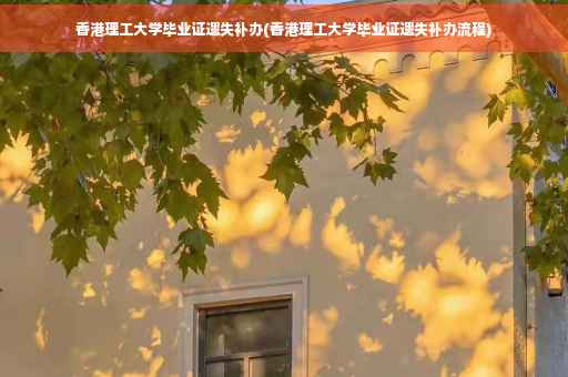 香港理工大学毕业证遗失补办(香港理工大学毕业证遗失补办流程)