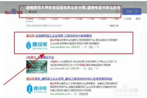 湖南师范大学毕业证丢失怎么补办呢,湖南电信卡怎么补办