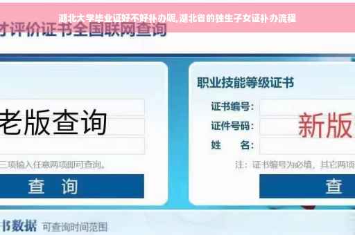 湖北大学毕业证好不好补办呢,湖北省的独生子女证补办流程