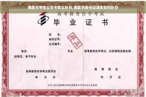 南昌市学生公交卡怎么补办,南昌市身份证遗失如何补办
