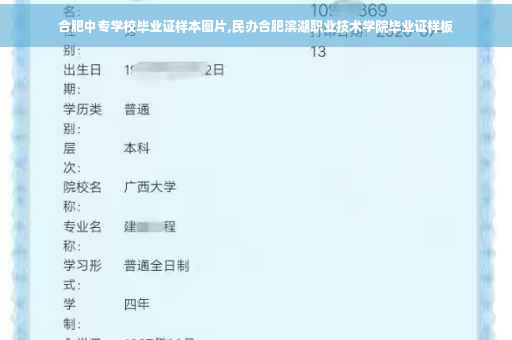 合肥中专学校毕业证样本图片,民办合肥滨湖职业技术学院毕业证样板