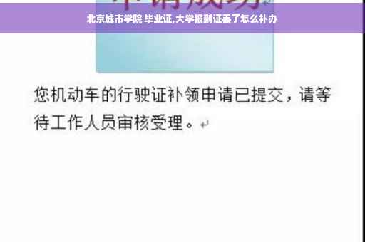 北京城市学院 毕业证,大学报到证丢了怎么补办
