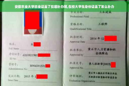 安徽农业大学毕业证丢了在哪补办呢,在校大学生身份证丢了怎么补办
