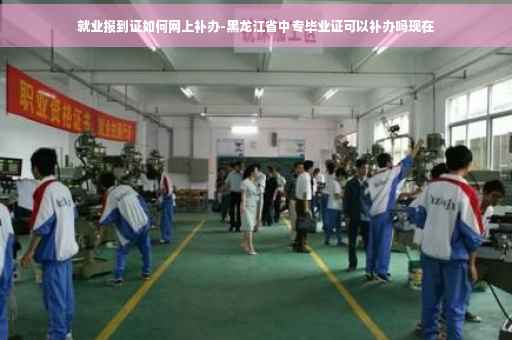 就业报到证如何网上补办-黑龙江省中专毕业证可以补办吗现在