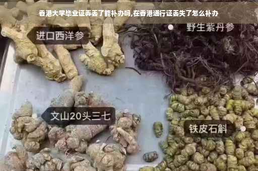 香港大学毕业证弄丢了能补办吗,在香港通行证丢失了怎么补办