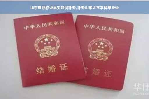 山东省职称证丢失如何补办,补办山东大学本科毕业证