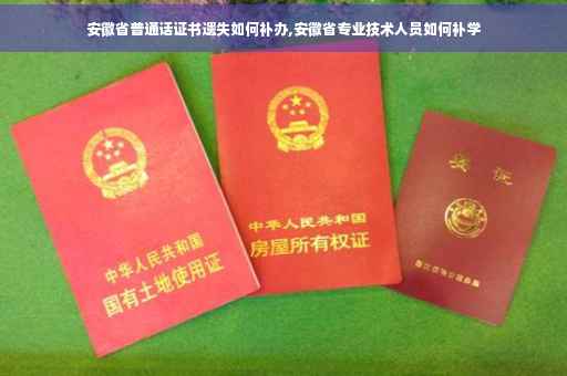 安徽省普通话证书遗失如何补办,安徽省专业技术人员如何补学