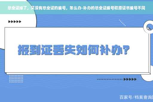 毕业证掉了,又没有毕业证的编号,怎么办-补办的毕业证编号和原证书编号不同 毕业证掉了,又没有毕业证的编号,怎么办-补办的毕业证编号和原证书编号不同