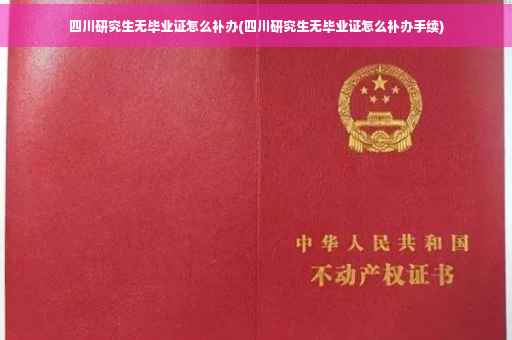 四川研究生无毕业证怎么补办(四川研究生无毕业证怎么补办手续)