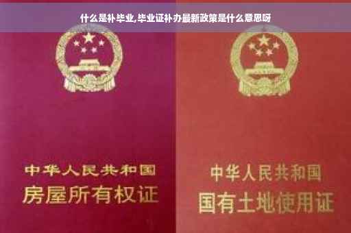什么是补毕业,毕业证补办最新政策是什么意思呀