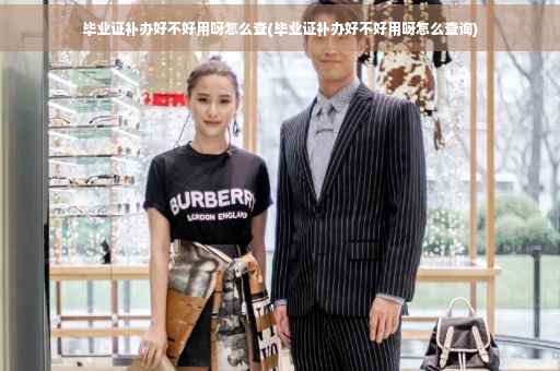 毕业证补办好不好用呀怎么查(毕业证补办好不好用呀怎么查询)