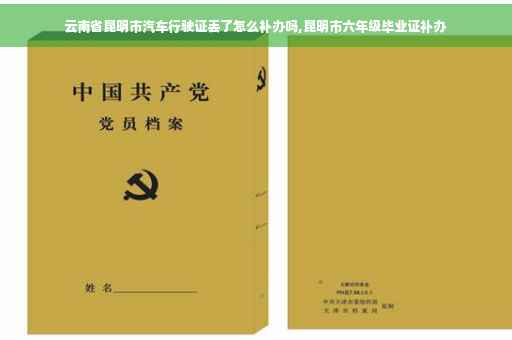云南省昆明市汽车行驶证丢了怎么补办吗,昆明市六年级毕业证补办