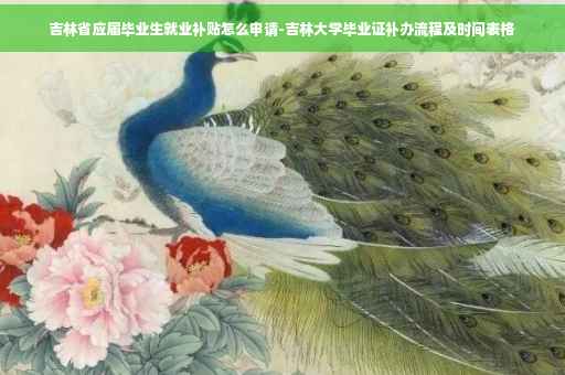 吉林省应届毕业生就业补贴怎么申请-吉林大学毕业证补办流程及时间表格