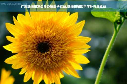 广东珠海市怎么补办独生子女证,珠海市第四中学补办毕业证
