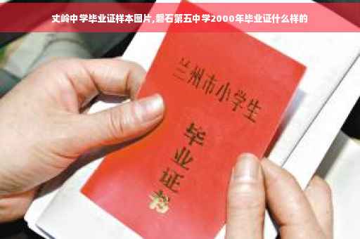 丈岭中学毕业证样本图片,磐石第五中学2000年毕业证什么样的