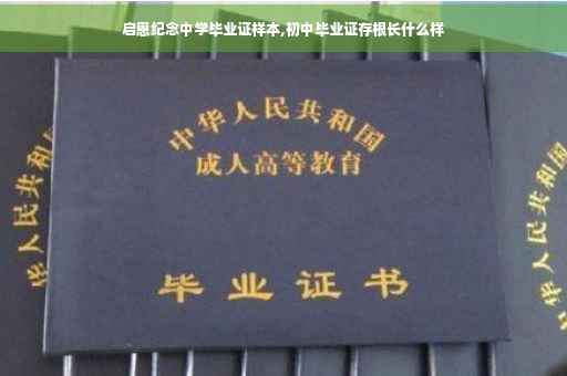 启恩纪念中学毕业证样本,初中毕业证存根长什么样