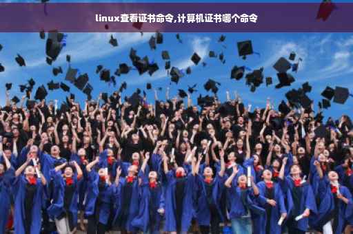 linux查看证书命令,计算机证书哪个命令