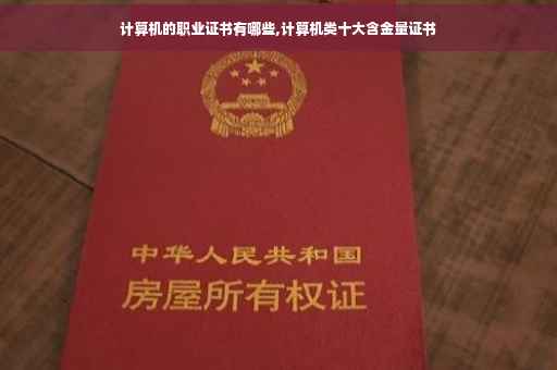 计算机的职业证书有哪些,计算机类十大含金量证书