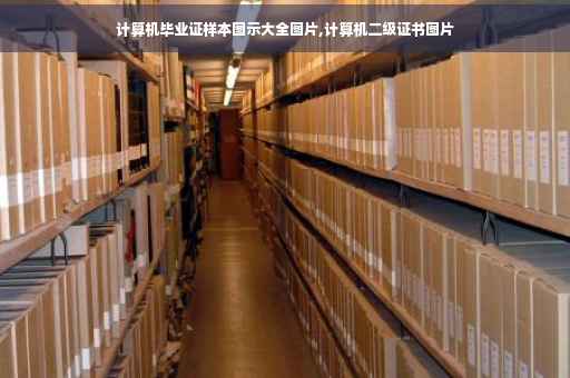 计算机毕业证样本图示大全图片,计算机二级证书图片